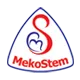 logo mekostem 2