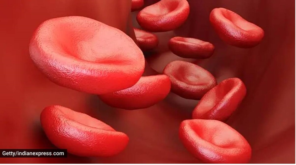 Bất kỳ cá nhân khỏe mạnh nào từ 18 tuổi đến 50 tuổi đều có thể đăng ký là người hiến tế bào gốc máu. (Nguồn: Getty Images / Thinkstock)