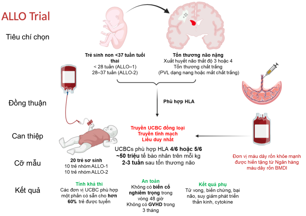 Safety and feasibility of allogeneic cord blood-derived cell therapy in ...